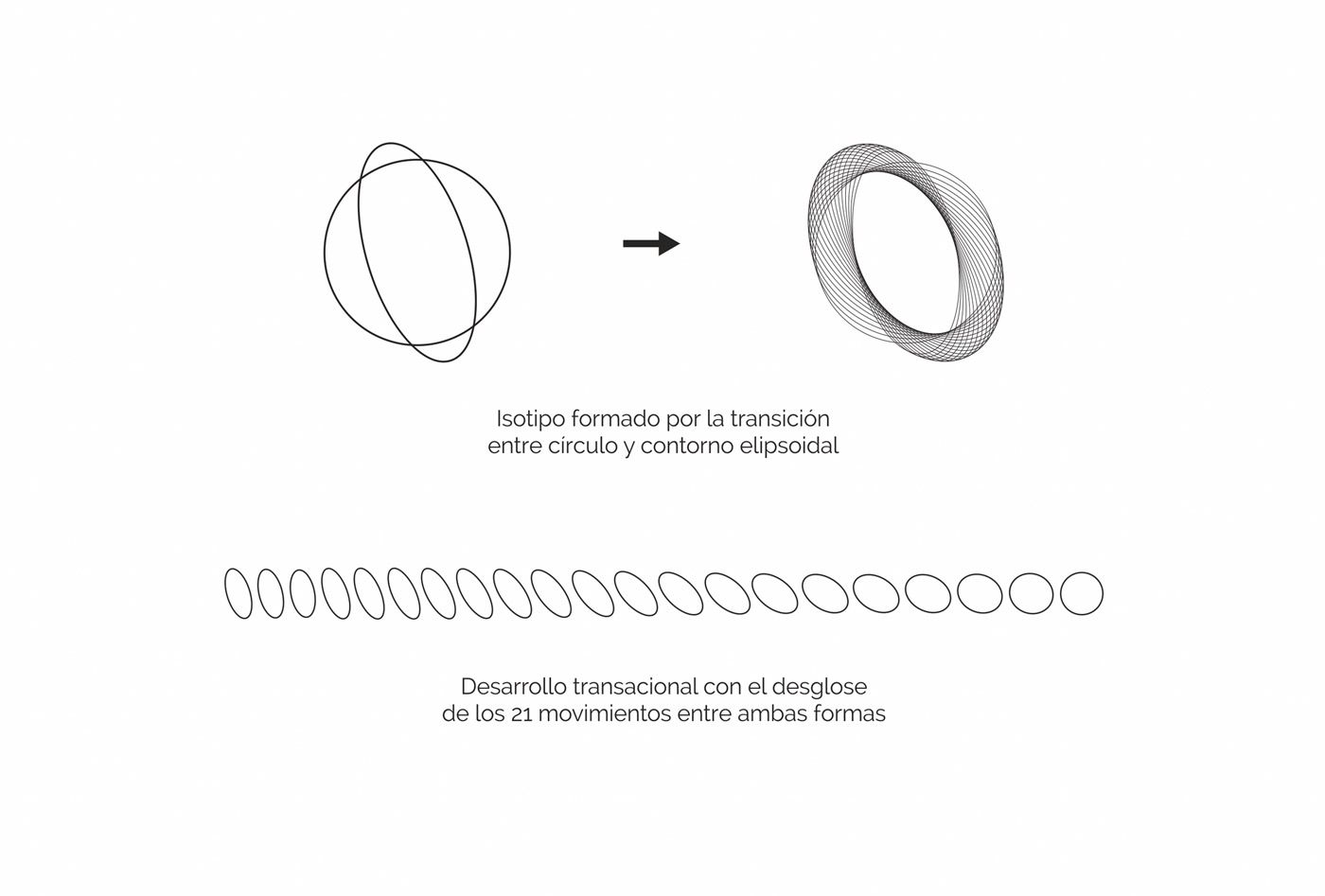 physicality-isotipo